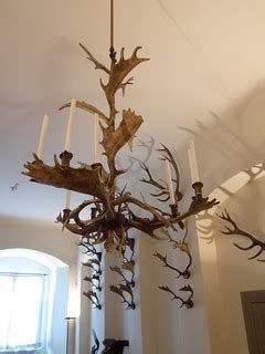 Moose antler chandelier | Berlin 2012 | Thomas Quine | Flickr