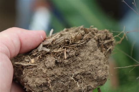 Soil moisture 101: What it means, how it’s measured - High Plains Journal