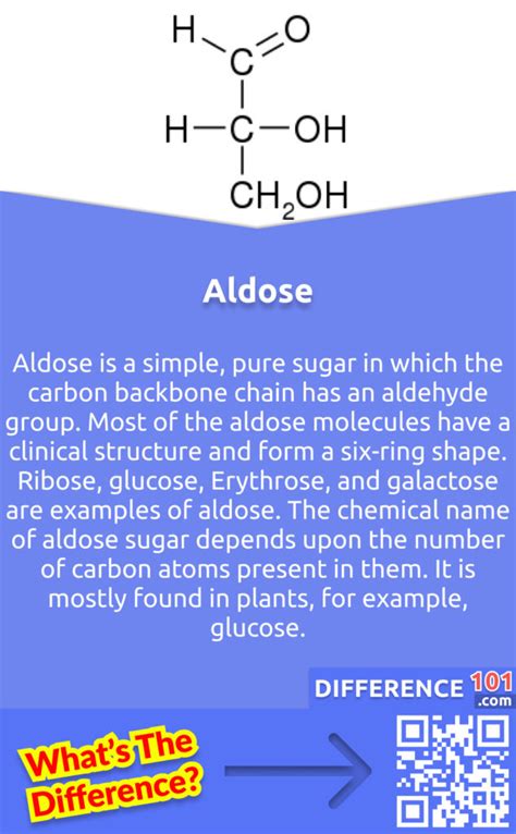 Aldose Ketose: Key Differences, Pros Cons, Examples, 57% OFF