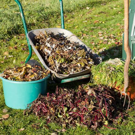 10 Organic Materials That Can Make Great Compost – Planet Protein, Inc.