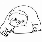 Free Printable Sloth Coloring Pages For Kids sketch template
