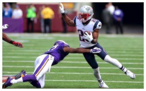 Patriots Pride: 2014 New England Patriots Defense