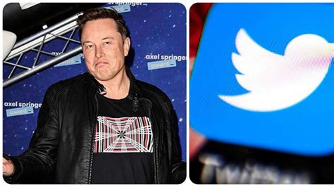 “El pájaro fue liberado”, escribió Elon Musk en Twitter… pero de los MEMES nadie se libra