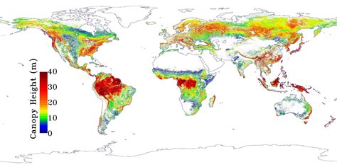 Why are trees in the UK shorter than other countries? : r/AskUK