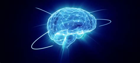 77 Fascinating Human Brain Facts | FactRetriever.com