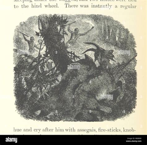 [African Hunting from Natal to the Zambesi including Lake Ngami, the ...