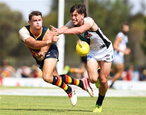 Why Crows star doubted he'd ever return to playing AFL - AFL News ...