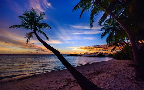 Palmeras en playa al atardecer Fondo de pantalla 4k HD ID:4608