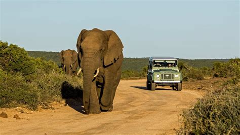 Quand partir en Afrique du Sud ? La meilleure période pour visiter le pays