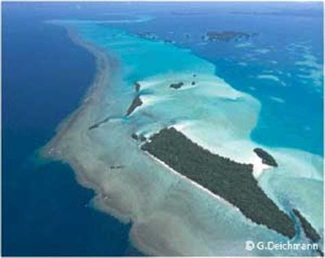 Kayaking In Palau « Nature & Wildlife « Micronesia