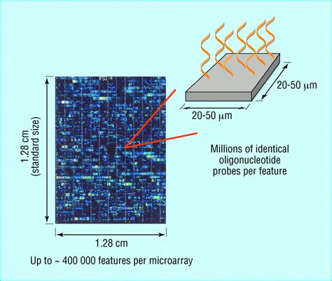 DNA microarrays in medical practice | The BMJ