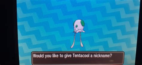 [Gen7] Got this shiny tentacool today in 81 sos encounters. Took less than an hour lol. : r ...