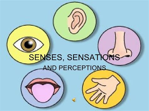 psychology - senses and sensations