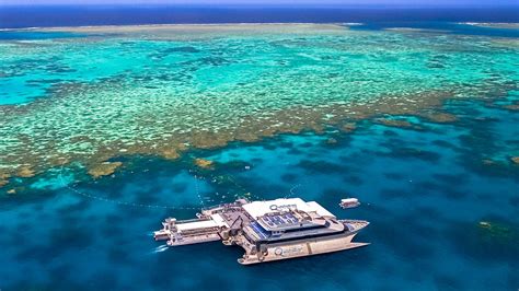 Planning Your Visit to the Great Barrier Reef | Your Questions Answered | Fitzroy Island