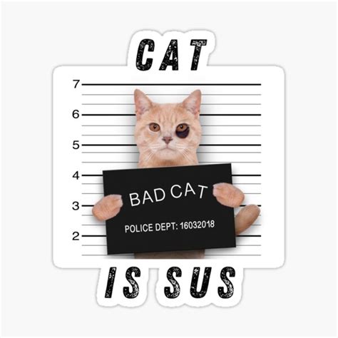 "Cat is sus - Funny kitty cat meme" Sticker for Sale by Jocosus | Redbubble