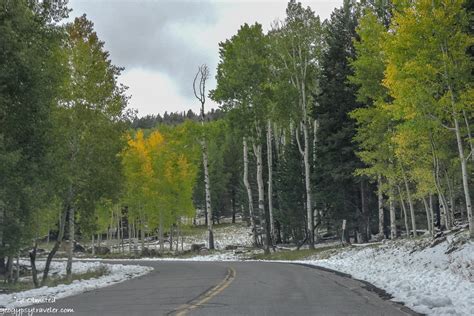 Kaibab National Forest Arizona