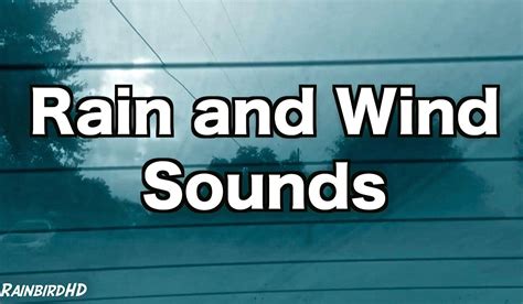 12 Hours Rain and Wind Sounds For Sleeping | Rainfall, Distant Thunder ...