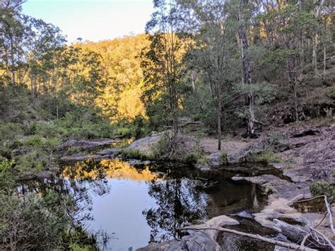 Conondale National Park - Aussie Bushwalking