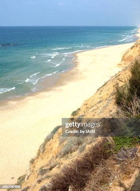 185 Ashkelon Beach Stock Photos, High-Res Pictures, and Images - Getty Images