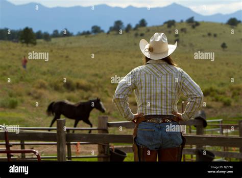 Cowgirl on the Ranch Stock Photo - Alamy