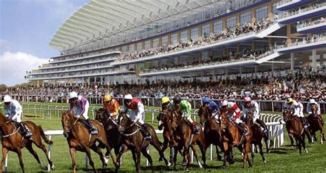 » Why you should travel to the UK to Watch the British Horse Racing