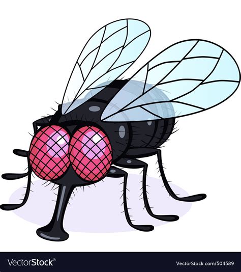 Fly cartoon Royalty Free Vector Image - VectorStock