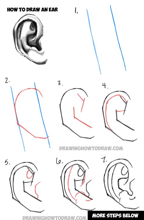 Learn How to Draw Ears and How to Shade Them : Drawing and Shading Ears Tutorial – How to Draw ...