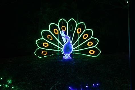 Columbus Zoo Wildlights - Ohio Girl Travels