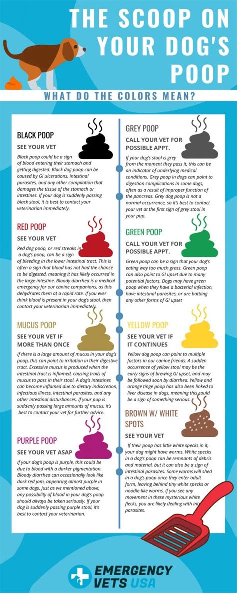 dog poop color chart find out what each color means - stool quality ...