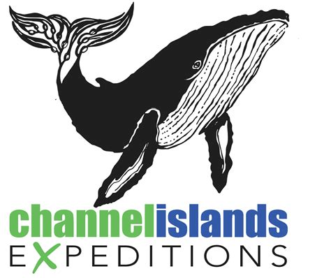 Whale Watching in the Channel Islands - Go Whale Watching California