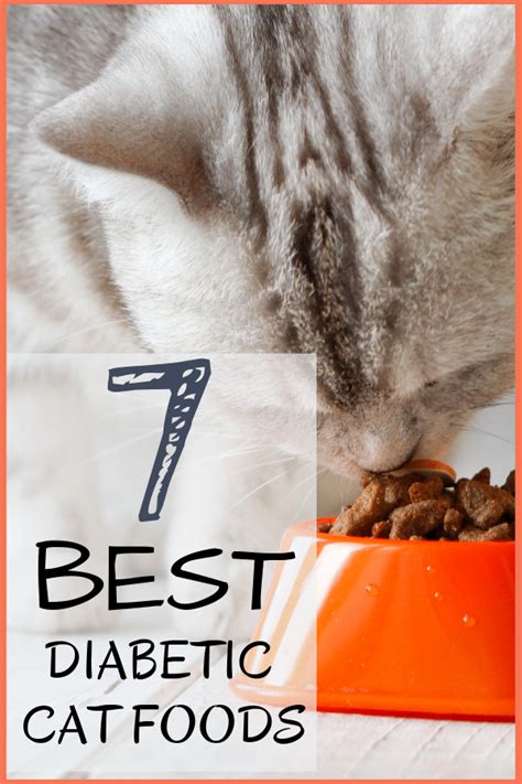 8 Best Diabetic Cat Foods: Our 2022 Guide to Feeding a Diabetic Cat ...