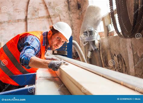 The Young Workers are Cutting Boards at the Wood Factory Stock Image ...