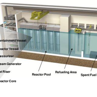 Model of NuScale power module (left) and cutaway of 12-module plant ...