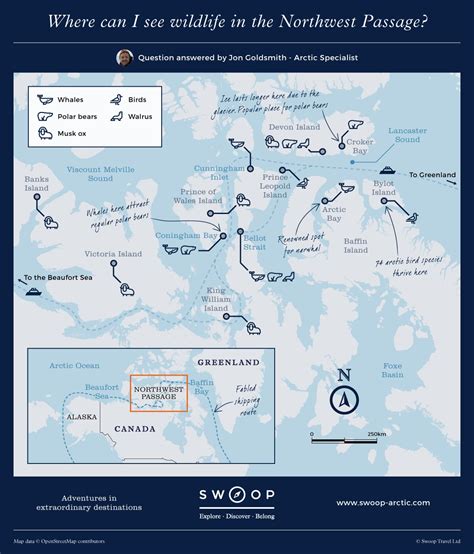 Northwest Passage Wildlife | Swoop Arctic