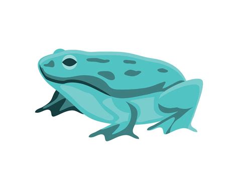 green frog icon 10422551 Vector Art at Vecteezy