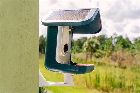 Bird Buddy Smart Bird Feeder review: A camera that's not just for the ...