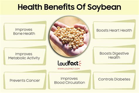 Unknown Soybean Facts And Amazing Health Benefits - LoudFact