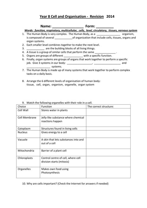 Year 8 Cells - Revision Questions