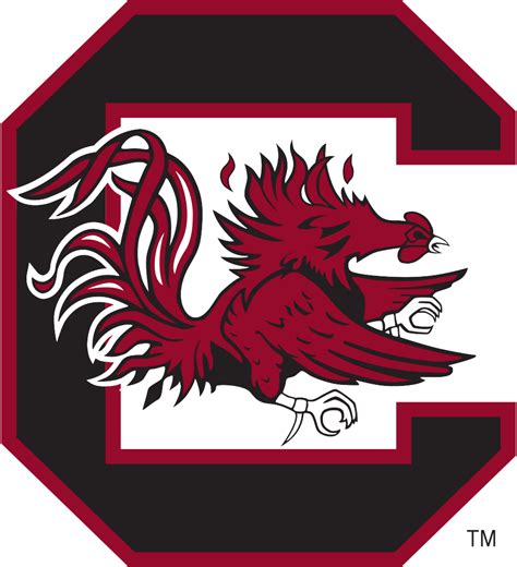 south carolina gamecocks - Clip Art Library