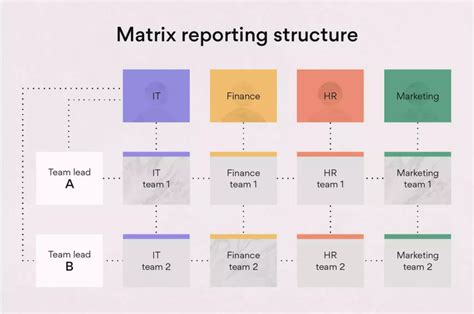 6 Advantages and Disadvantages of a Matrix Organizational Structure ...