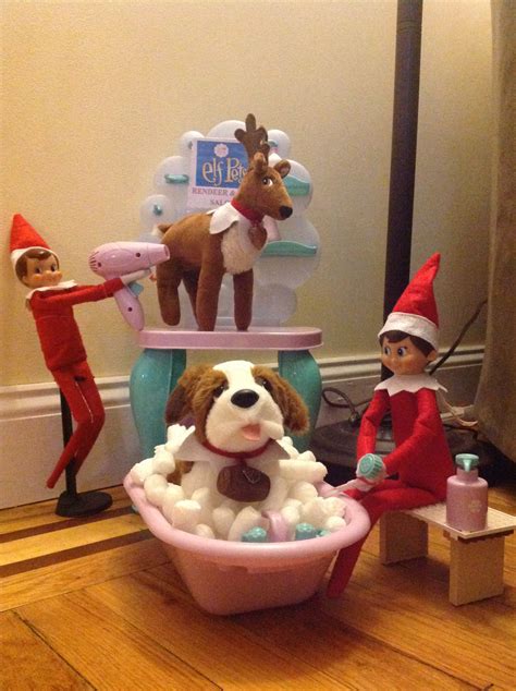 Elf Pet reindeer and dog salon | Elf on the shelf pet ideas, Elf pets ...