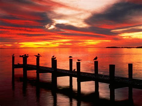 Florida Sunset wallpaper | 1600x1200 | #15433