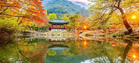 Autumn in Korea, the Best Season! Plan Your Trip for Autumn