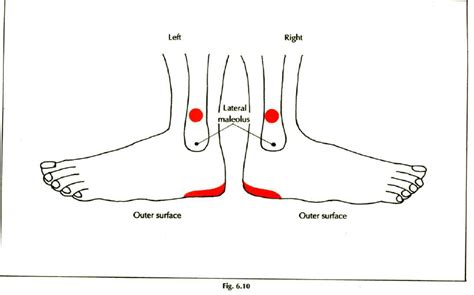 Foot Reflexology Points Important – Learn Self Healing Techniques Online