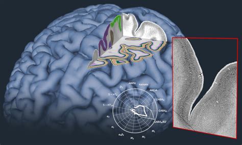 The Human Brain Project: six achievements of Europe’s largest ...