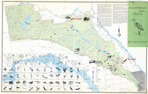 Gatineau Park Topographical Maps