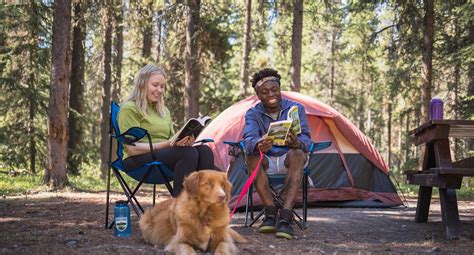 Are Dogs Allowed In Canadian Provincial Parks