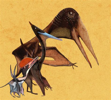 an artist's rendering of two birds flying in the air with their beaks open