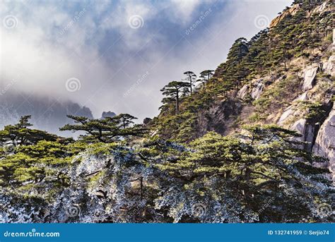 Cliffs in Huangshan National Park at Foggy Winter Evening Stock Image - Image of chinese, forest ...