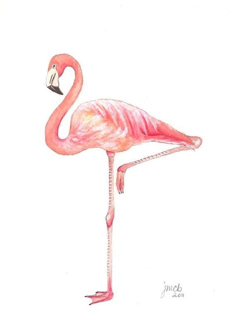 Flamingo watercolor | Flamingo art, Flamingo wall art, Flamingo